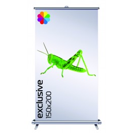 RollUp Exclusive 150x200cm